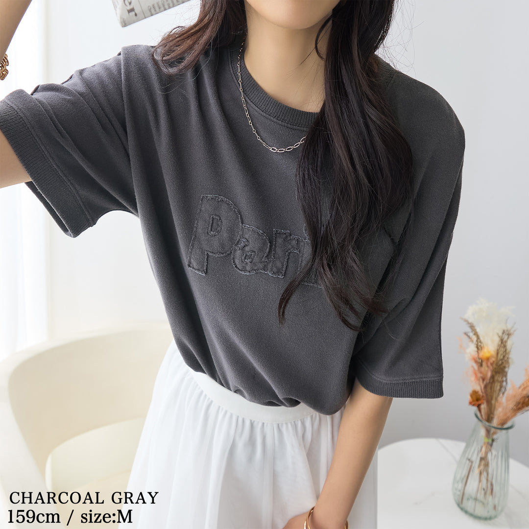 <span>【クーポンで2999円！】</span>【Tシャツ/カットソー】『こなれたヴィンテージロゴ』 アップリケロゴ刺繍ピグメントTシャツ